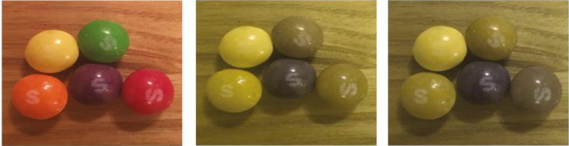 Colour Eye Vision Perception of Skittles