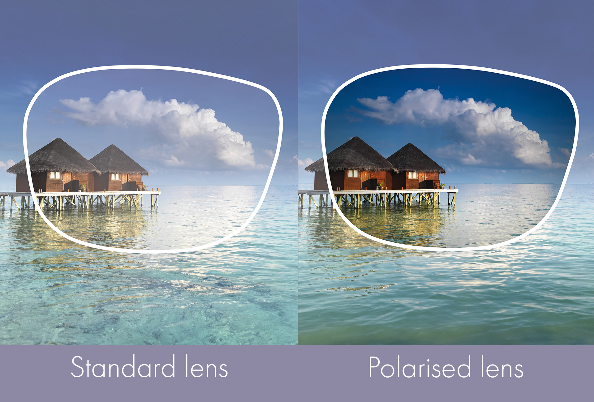 polarised vs standard lens